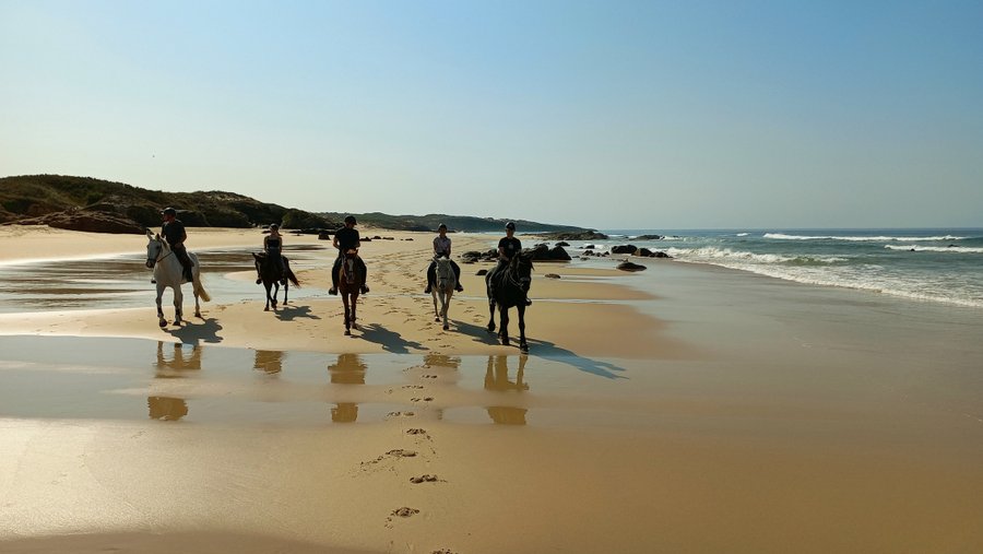 Autumn Beach rides
