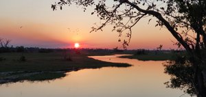 Mma Dinare Tented Camp in Maun