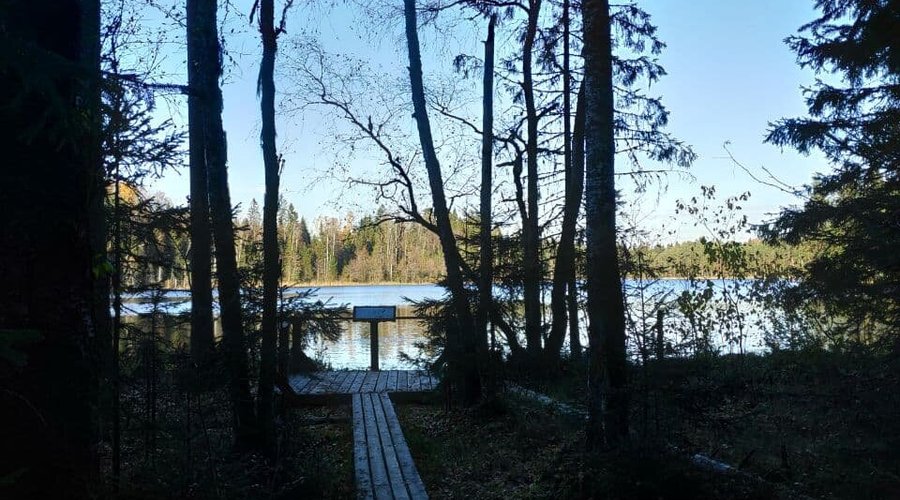Смотровая площадка