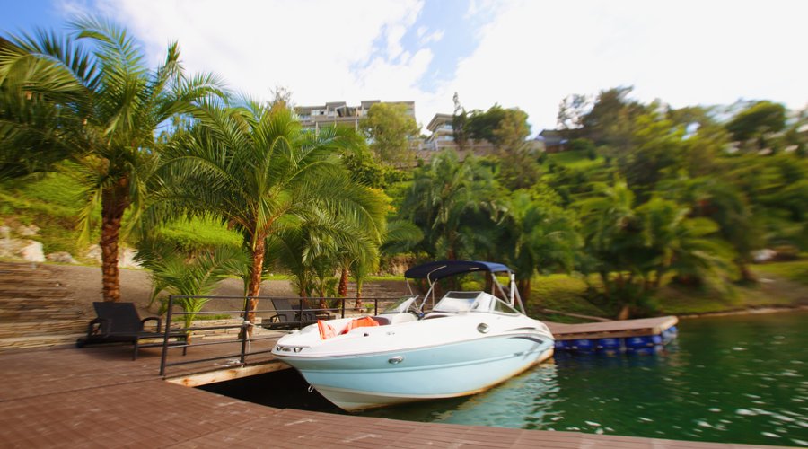 Boat Tour
