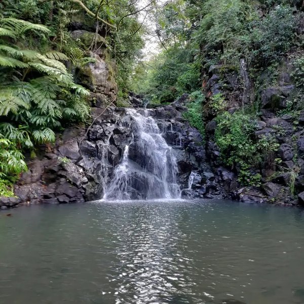 Hoomaluhia Botanical Gardens Kaneohe 2022 What To Know Before You Go