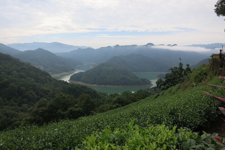 林华泰茶行(Datong) - 旅游景点点评- Tripadvisor