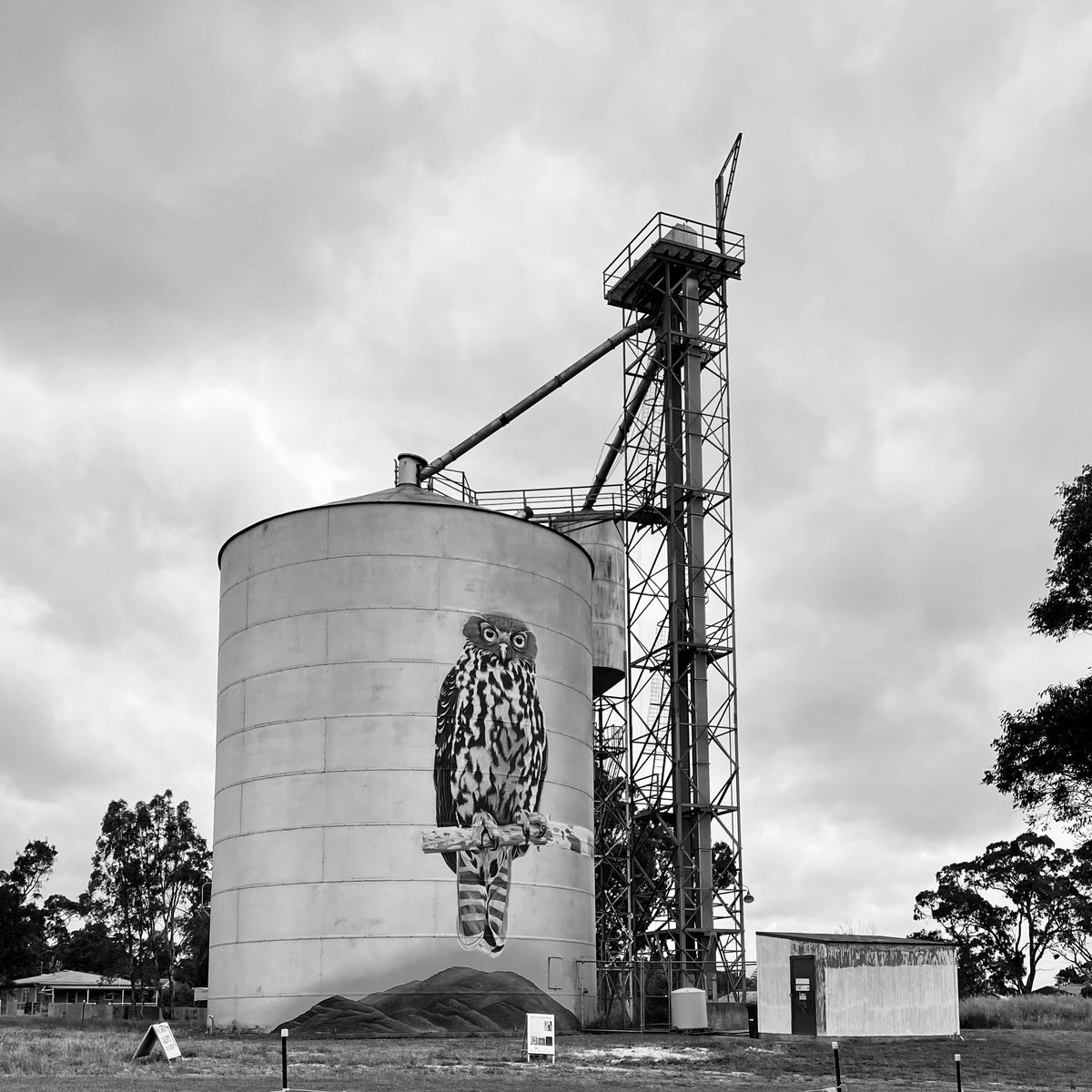 Avoca Silo Art - All You Need to Know BEFORE You Go (2025)