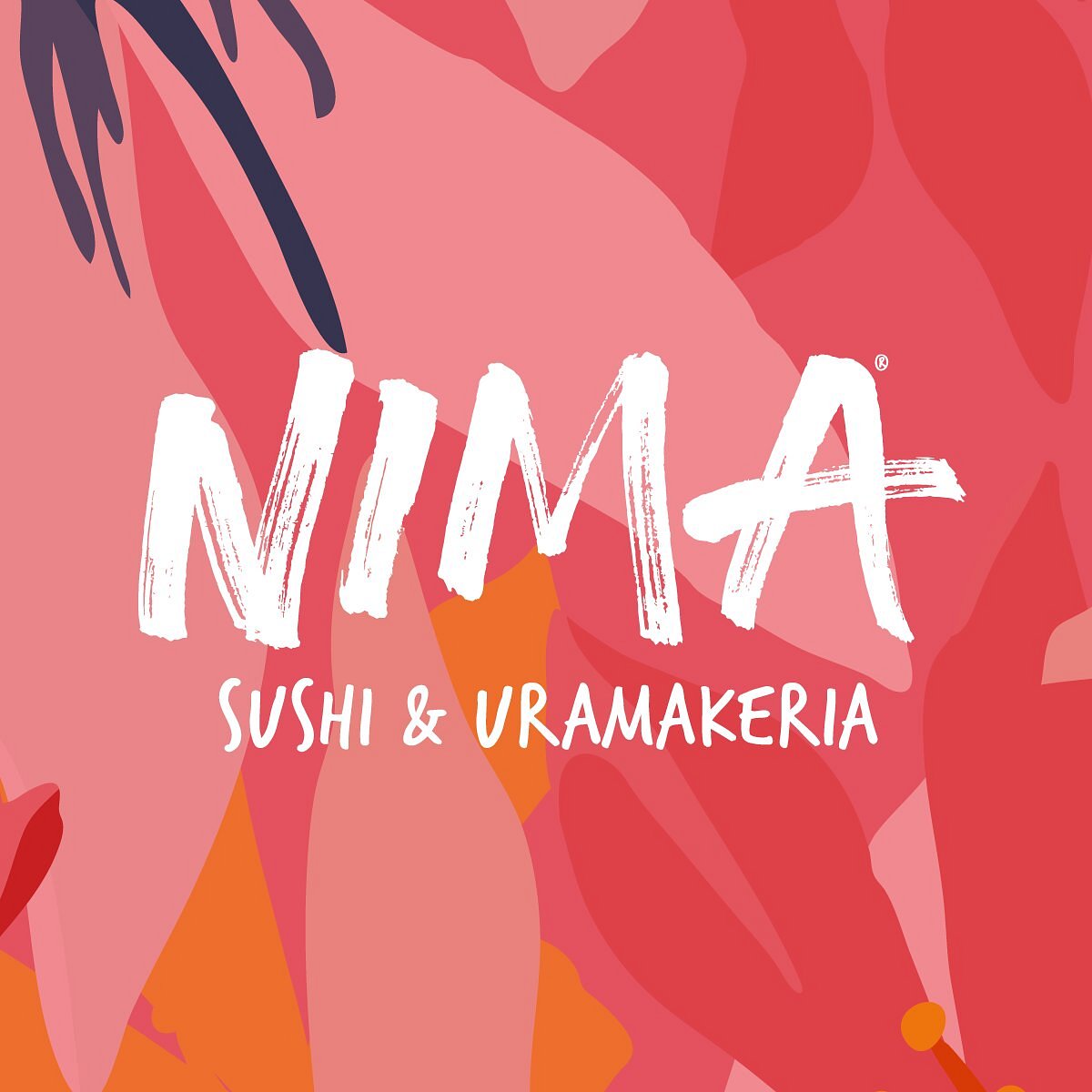 NIMA Sushi (Firenze - Novoli), Флоренция - фото ресторана - Tripadvisor