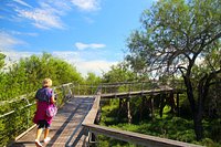 Bentsen Rio Grande Valley State Park Mission 21 All You Need To Know Before You Go With Photos Tripadvisor