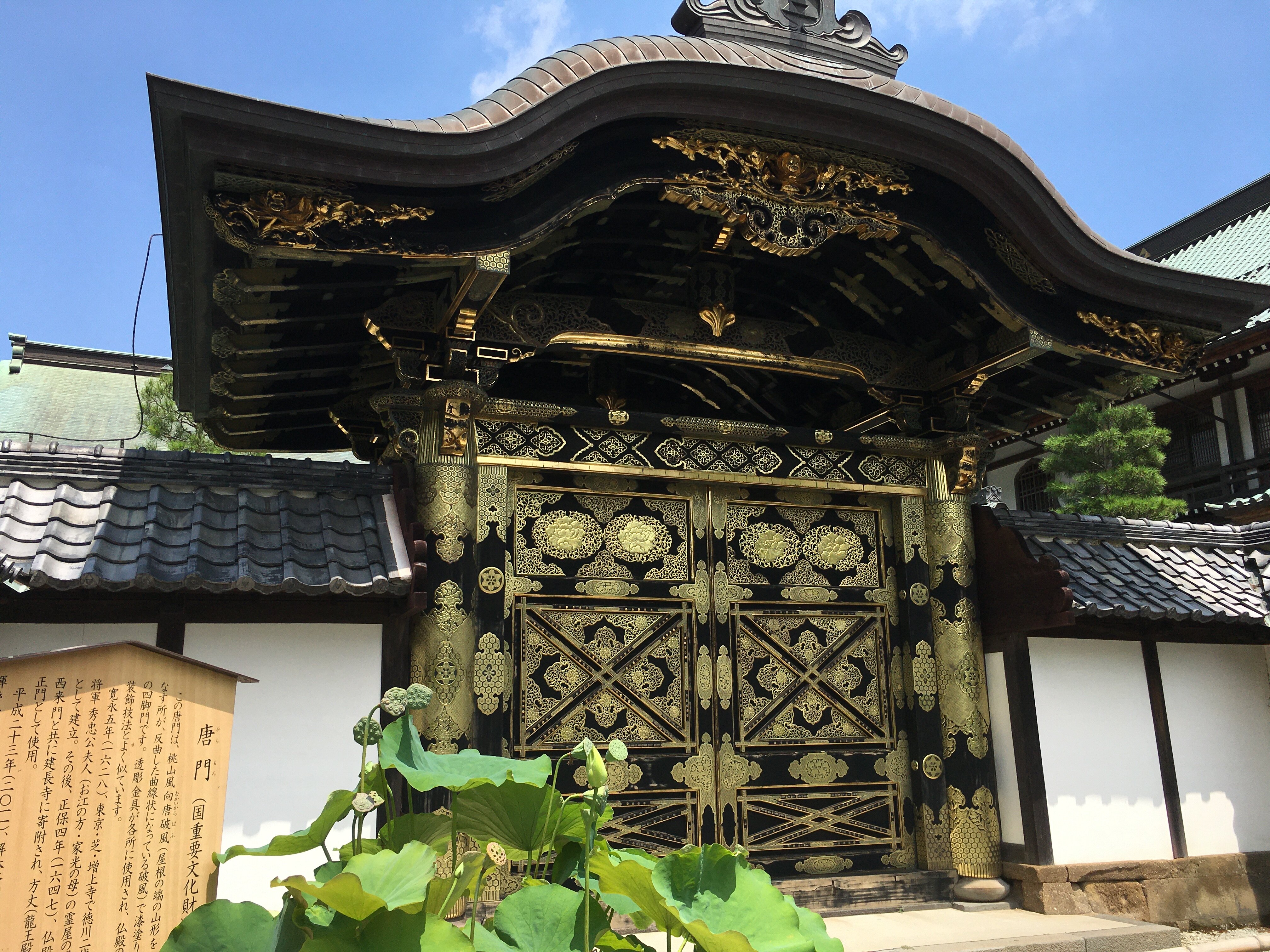2025年 建長寺 唐門 - 出発前に知っておくべきことすべて