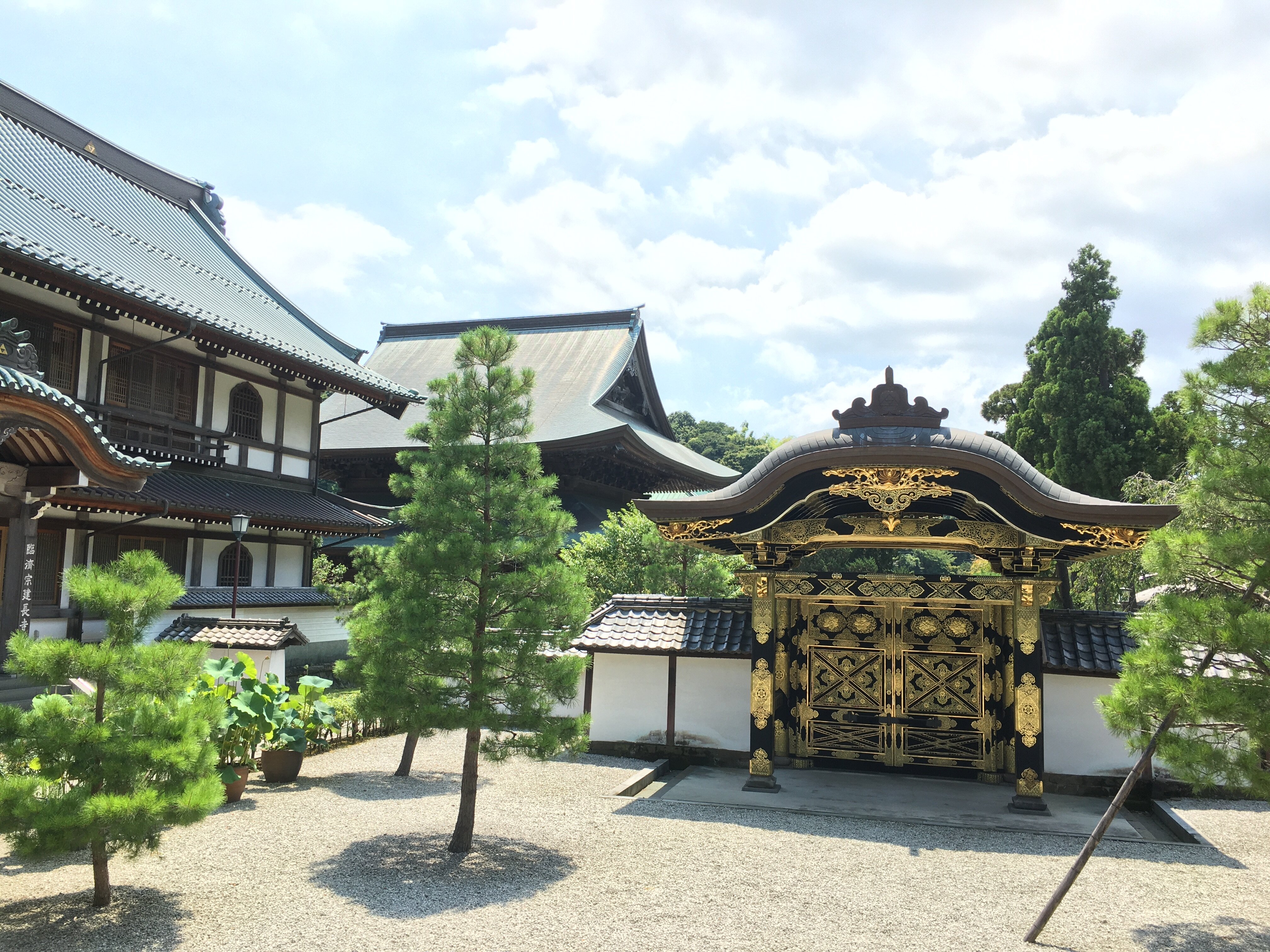 2025年 建長寺 唐門 - 出発前に知っておくべきことすべて