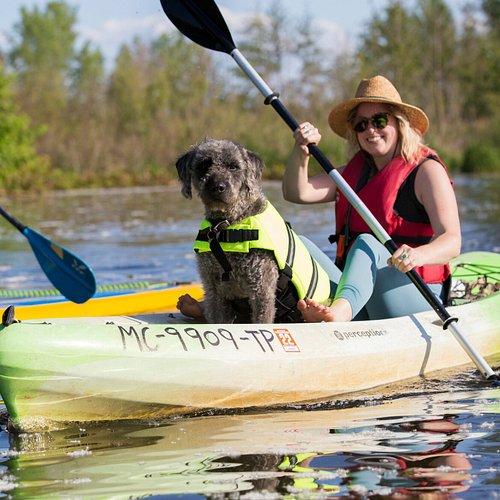 THE 5 BEST Southwest Michigan Kayaking & Canoeing (2024)
