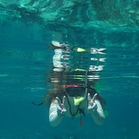 2023 Half Day Snorkel Trip on Reefs in the Florida Keys