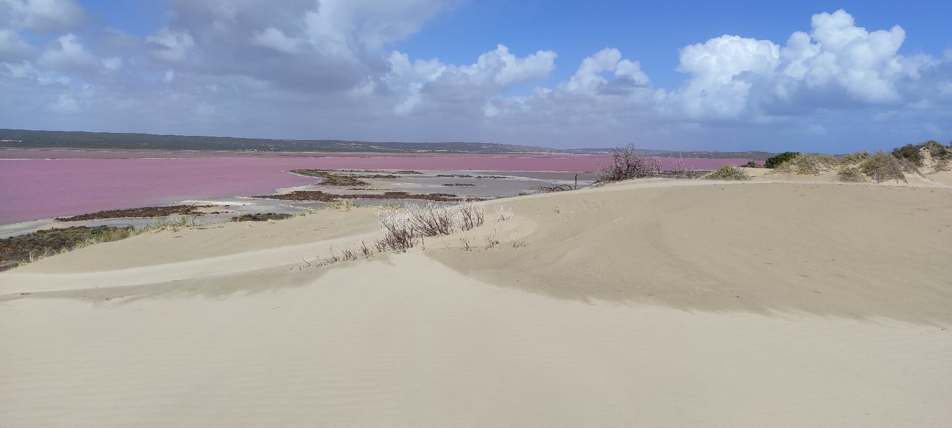 Pink lake buggy sales tours