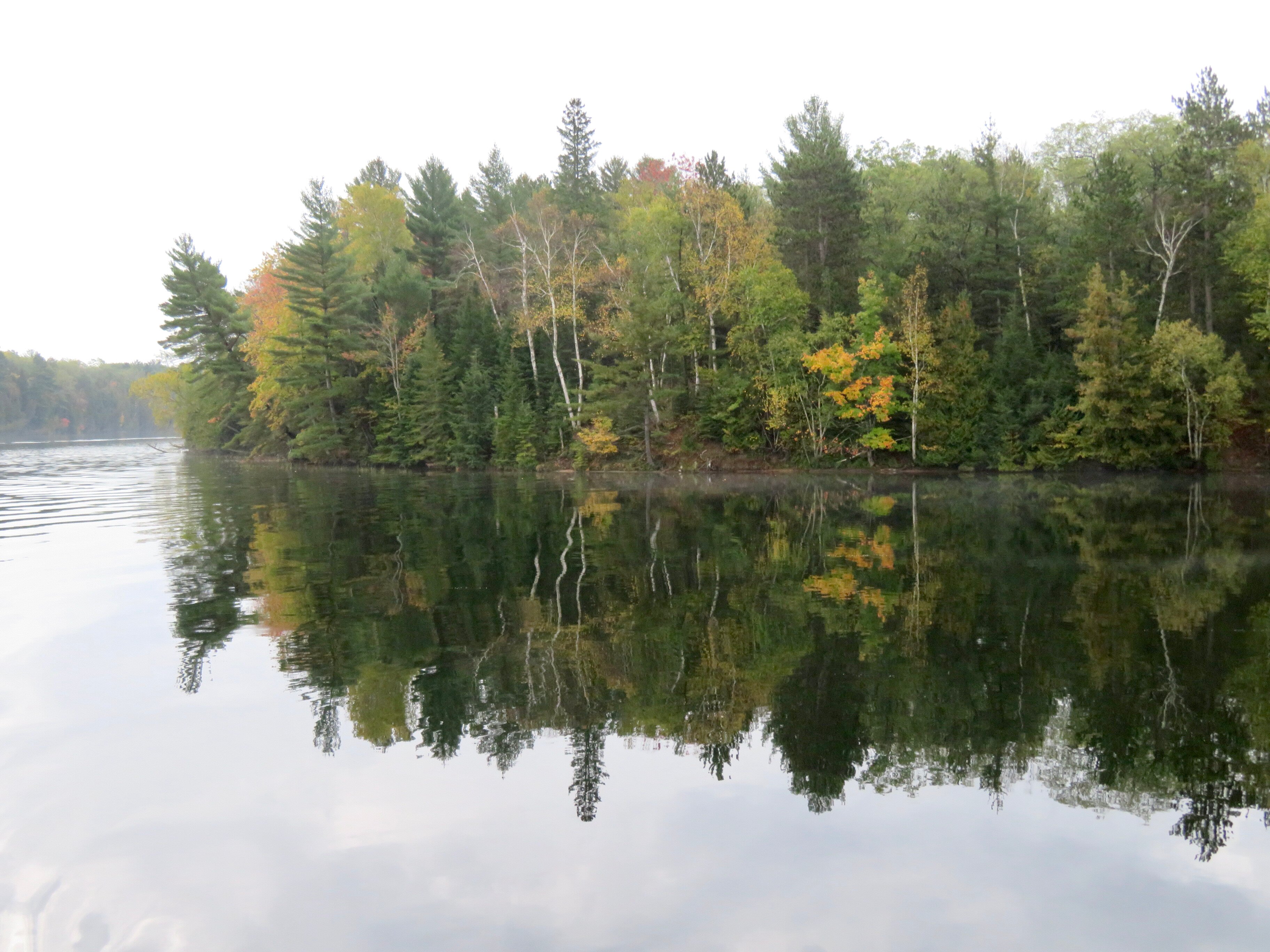 Au Sable River Queen (2025) - All You Need to Know BEFORE Au Sable River Queen (2025) - All You Need to Know BEFORE