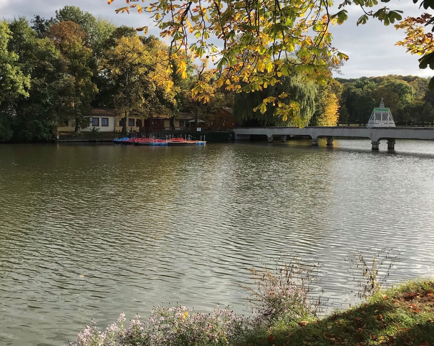GROSSER TEICH (Altenburg) Qué SABER antes de ir (2025)