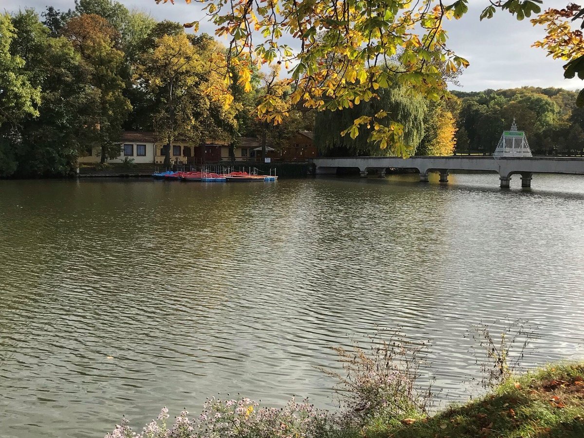 Grosser Teich (Altenburg) Aktuell für 2023 Lohnt es sich? (Mit fotos)