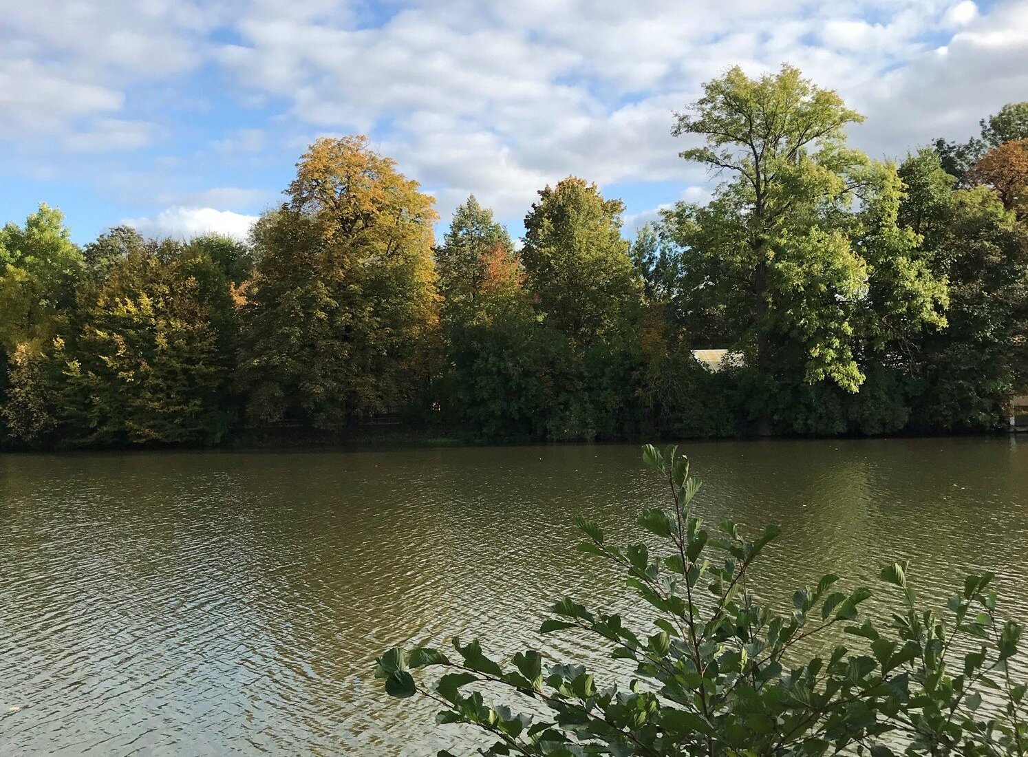 GROSSER TEICH (Altenburg) Ce qu'il faut savoir pour votre visite (avec