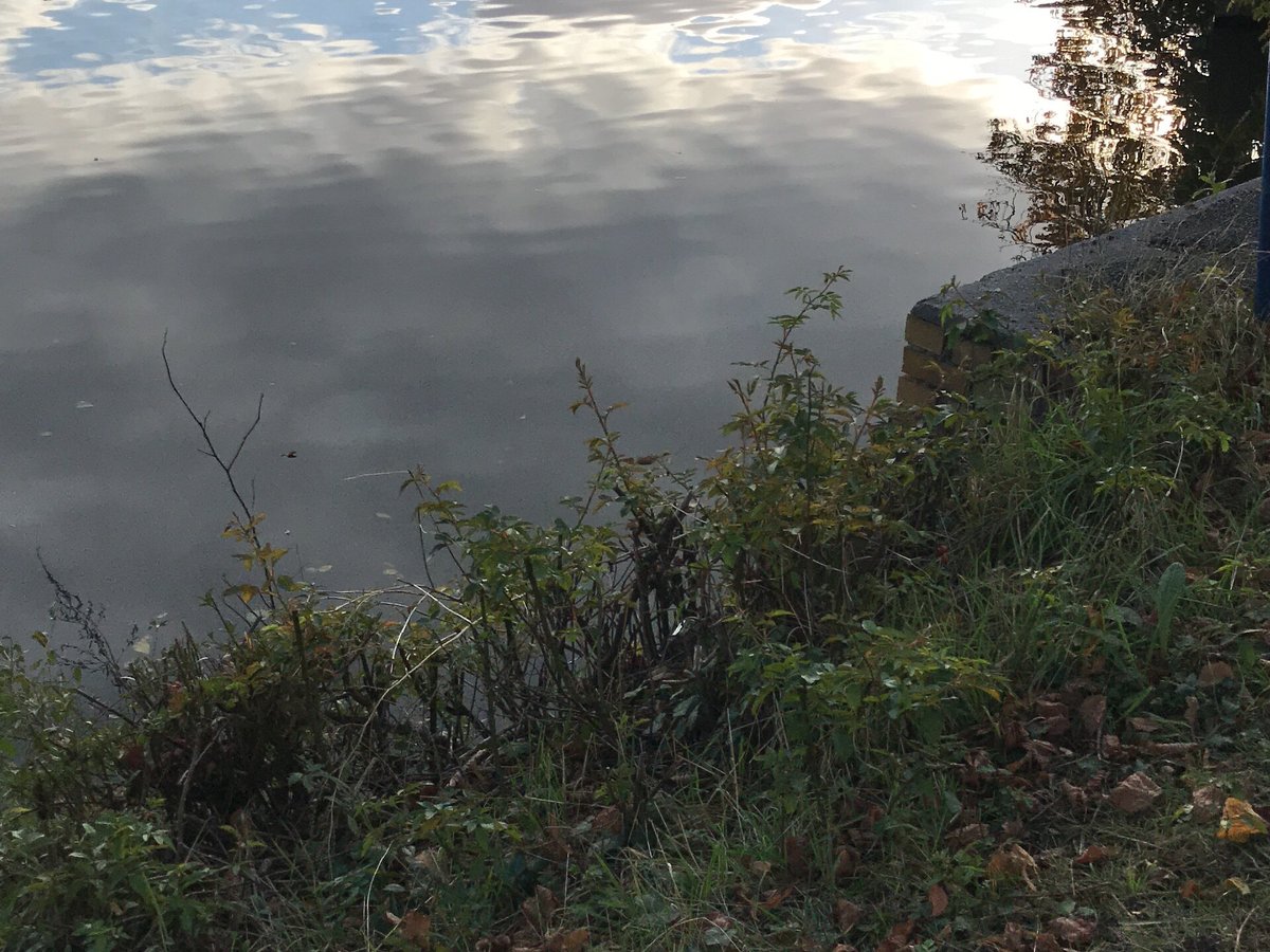 Grosser Teich (Altenburg) Aktuell für 2023 Lohnt es sich? (Mit fotos)