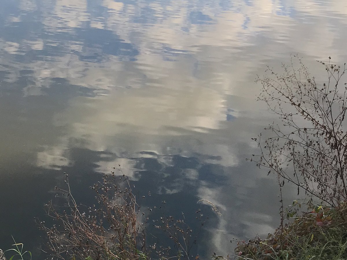 GROSSER TEICH (Altenburg) Ce qu'il faut savoir pour votre visite (avec