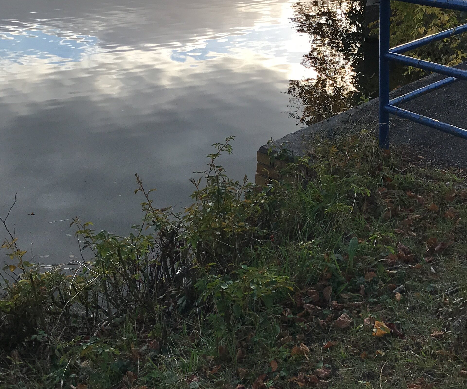 Grosser Teich (Altenburg) Aktuell für 2023 Lohnt es sich? (Mit fotos)