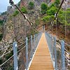 angeluismalaga