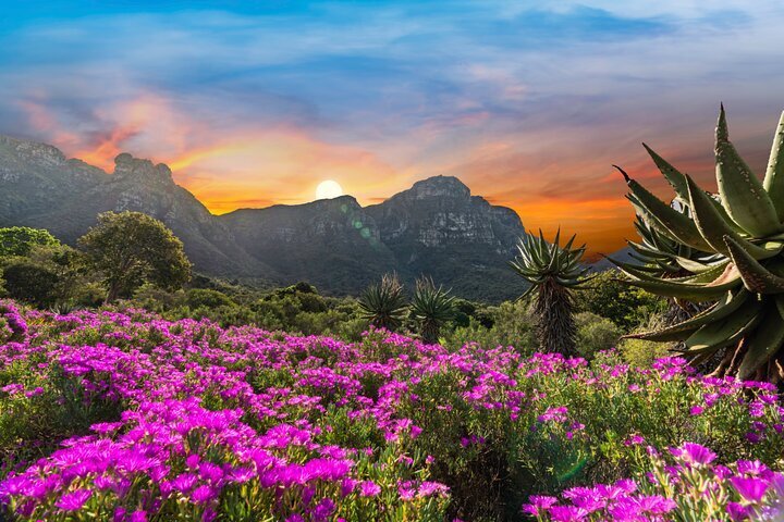 Kirstenbosch National Botanical Garden Events | Fasci Garden