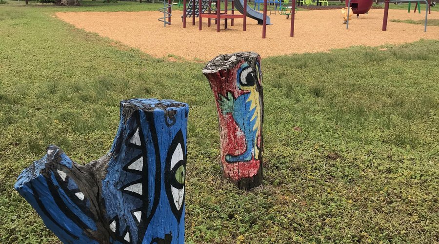 Pioneer Reserve and Playground