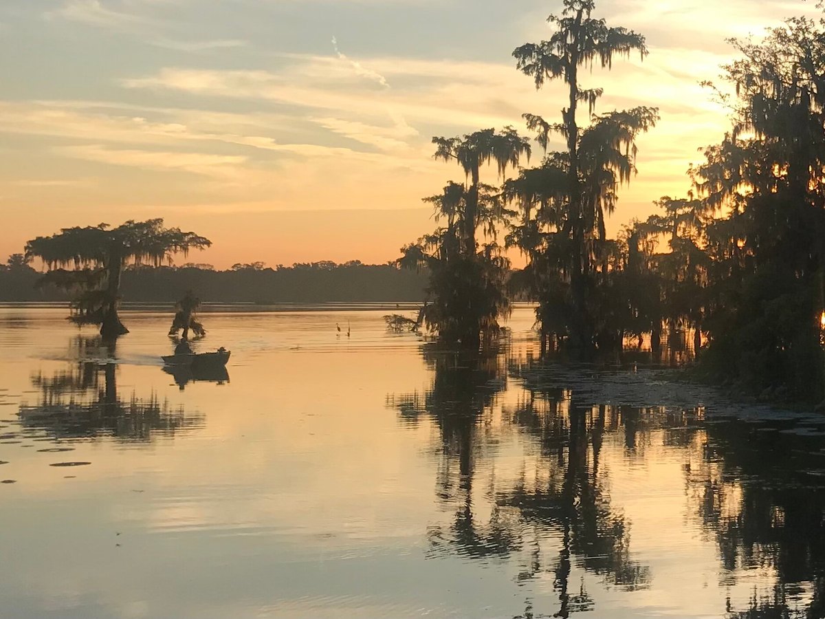 Louisiana Swamp Tours (Breaux Bridge) All You Need to Know BEFORE You Go