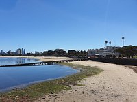 Urban monkey likes to watch. - Picture of Saint Kilda Beach Hotel, St Kilda  - Tripadvisor