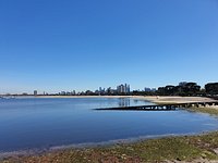 Urban monkey likes to watch. - Picture of Saint Kilda Beach Hotel, St Kilda  - Tripadvisor