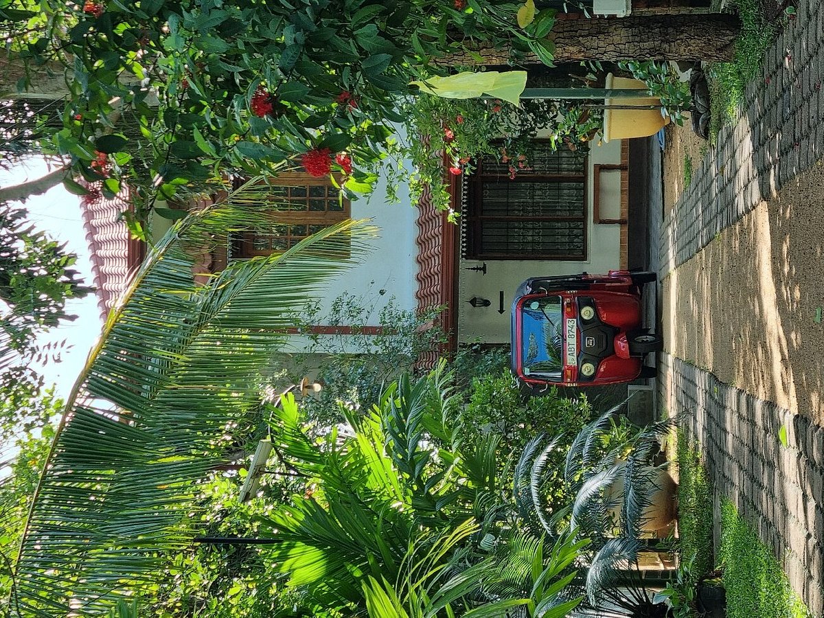 amsterdam tourist rest anuradhapura