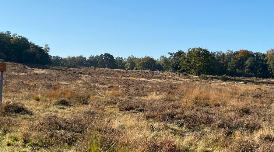 Uitzicht over de heide.