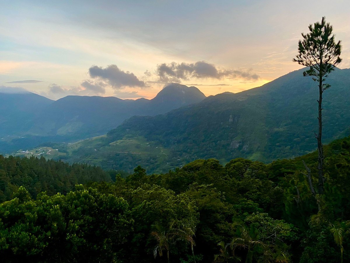 DUMBANAGALA CHALET @ KNUCKLES - Lodge Reviews (Kandy, Sri Lanka)