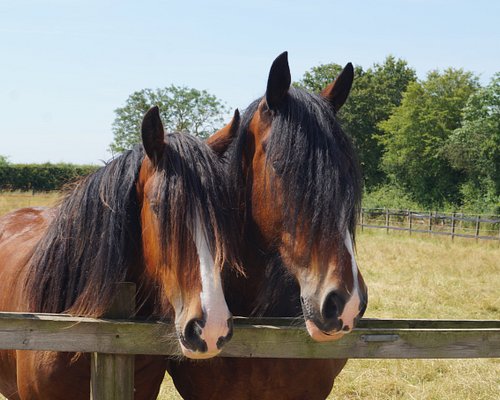 Warwickshire Wildlife Trust