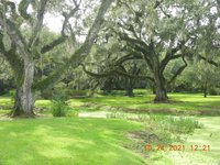 Jungle Gardens (Avery Island) - All You Need to Know BEFORE You Go