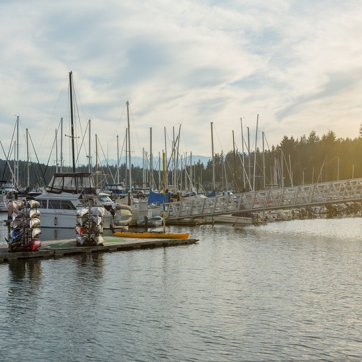 Port Ludlow Marina (WA): Hours, Address - Tripadvisor