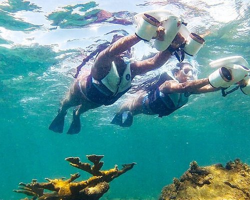 Deber Adaptabilidad microscópico THE 10 BEST San Juan Scuba Diving & Snorkeling (Updated 2023)