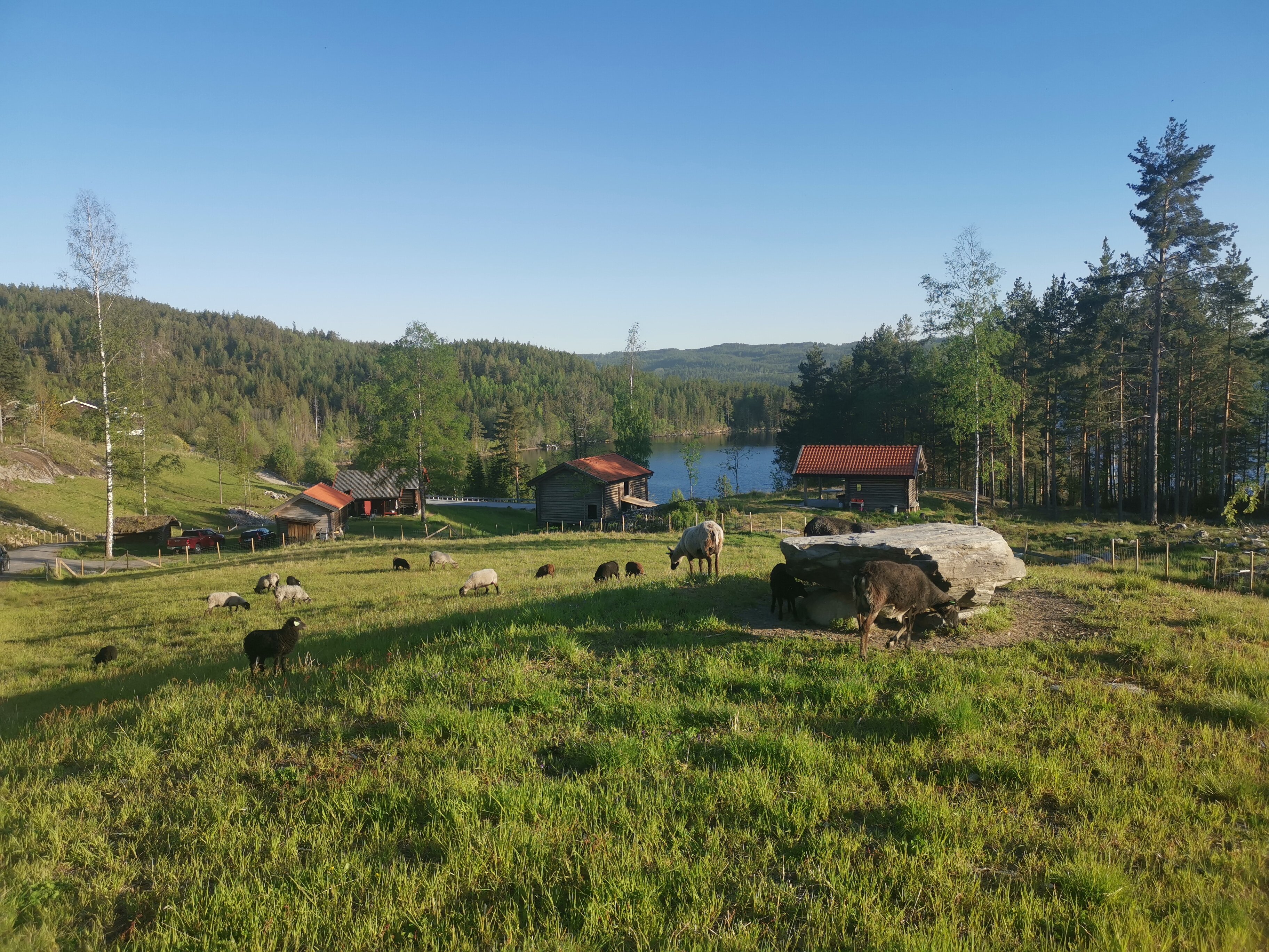 BOLKESJØ GAARD - Bewertungen, Fotos & Preisvergleich (Notodden ...