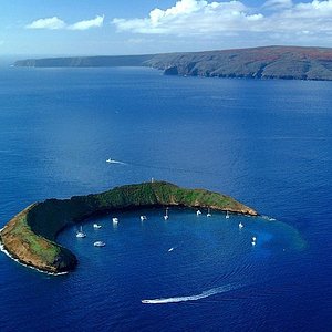 lava ocean tours big island