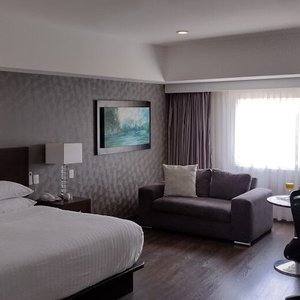 Jr. Suite Ejecutiva, espaciosa, elegante y cómoda. Piso alto con vista increíble. Vino de mesa de bienvenida, desayuno, WiFi y estacionamiento en cortesía.