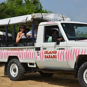 island safari barbados reviews