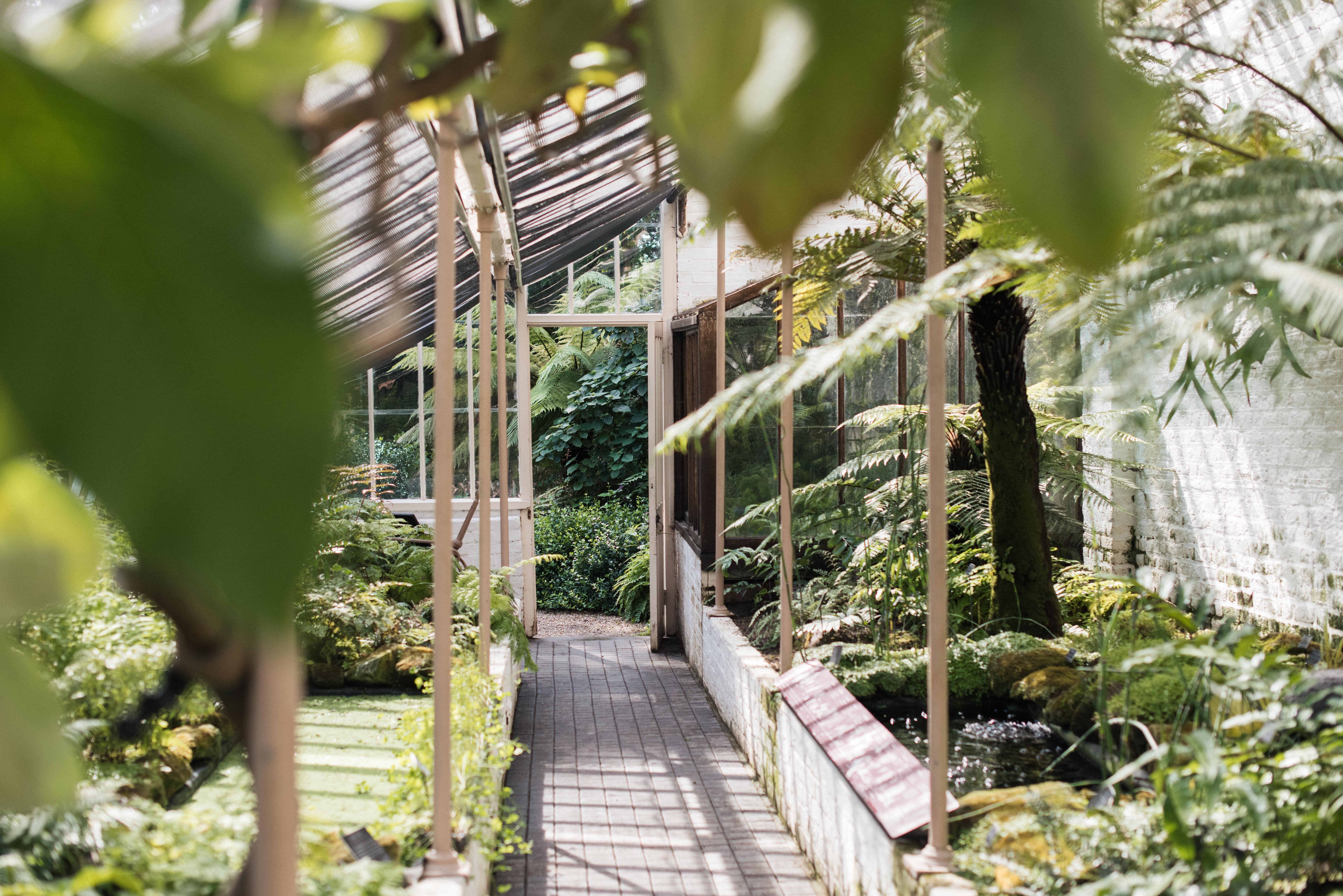 THE 10 BEST London Gardens 2024 Tripadvisor   Cool Fernery 