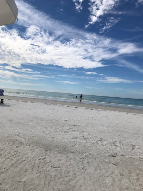 Siesta Key review images