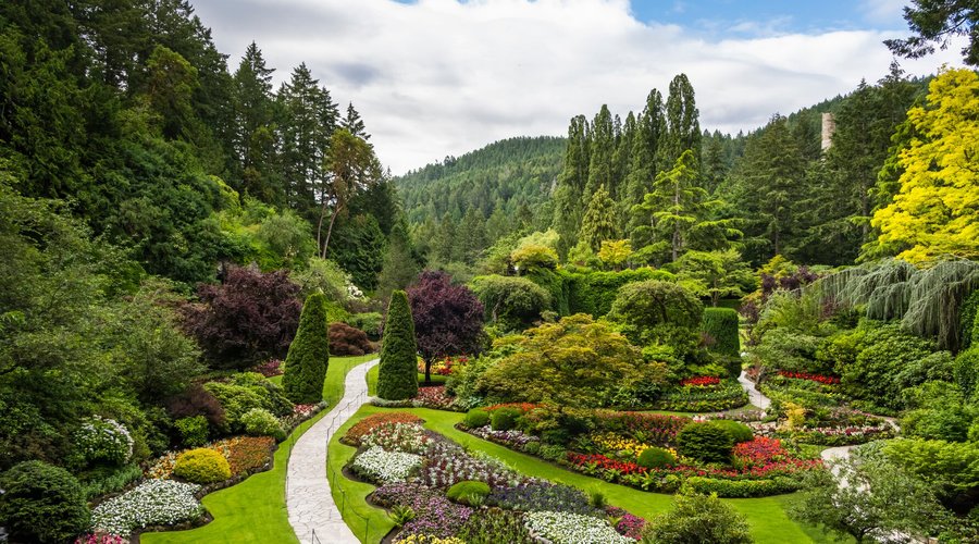 Sunken Garden in Summer