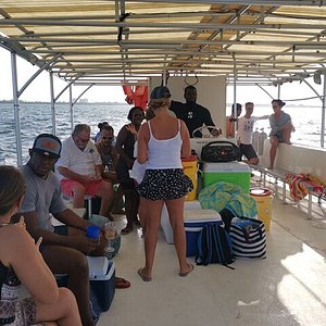 grand cayman bio bay tour