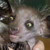 Ashlee N