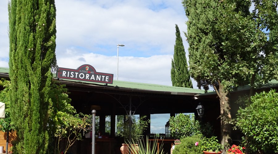 Venite ad assaggiare piatti gustosi della nostra cucina Mediterranea.