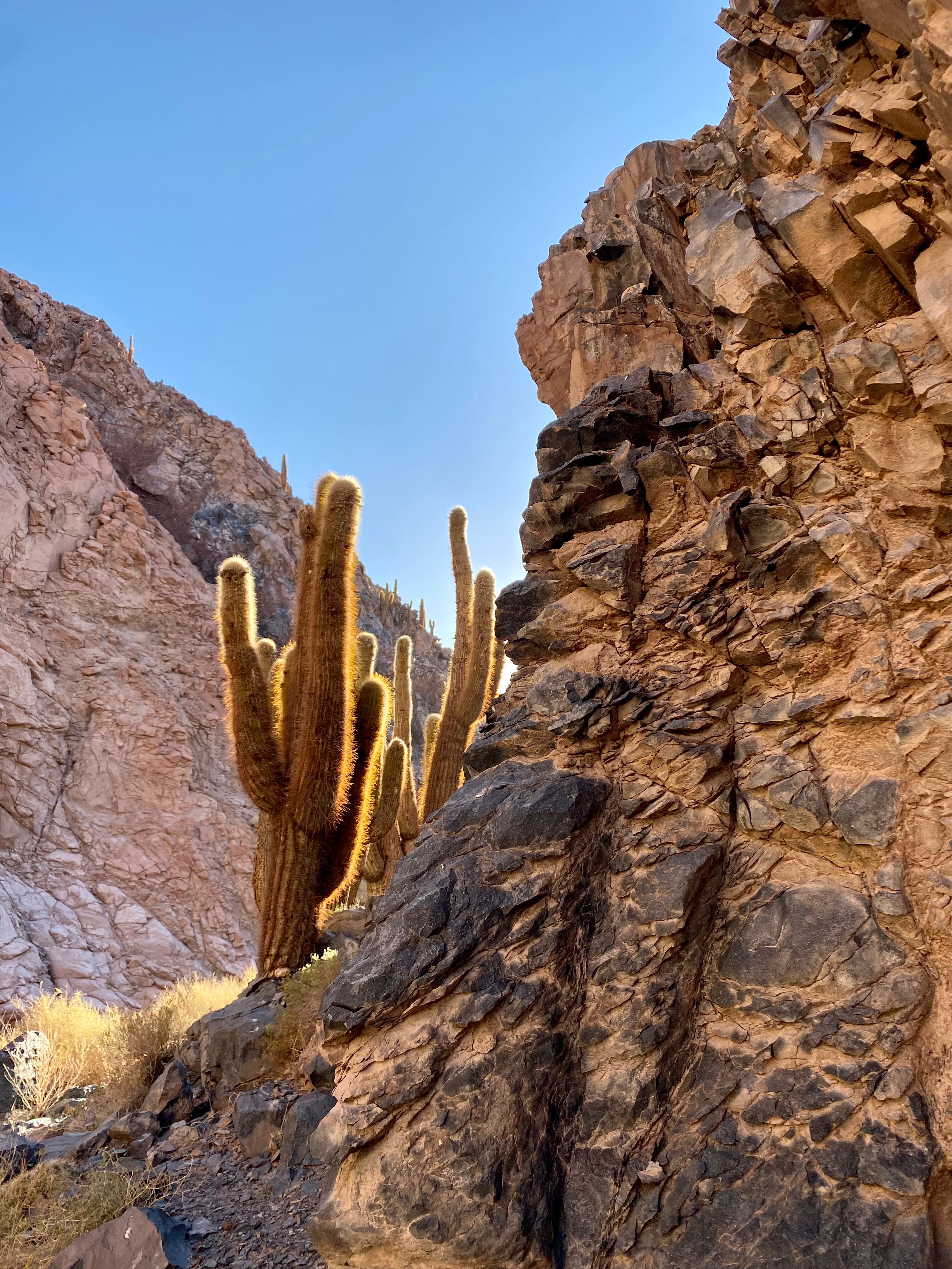 AWASI ATACAMA - RELAIS & CHATEAUX (San Pedro De Atacama) - Opiniones Y ...