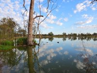 Window on the Wetlands Centre (Warren): All You Need to Know