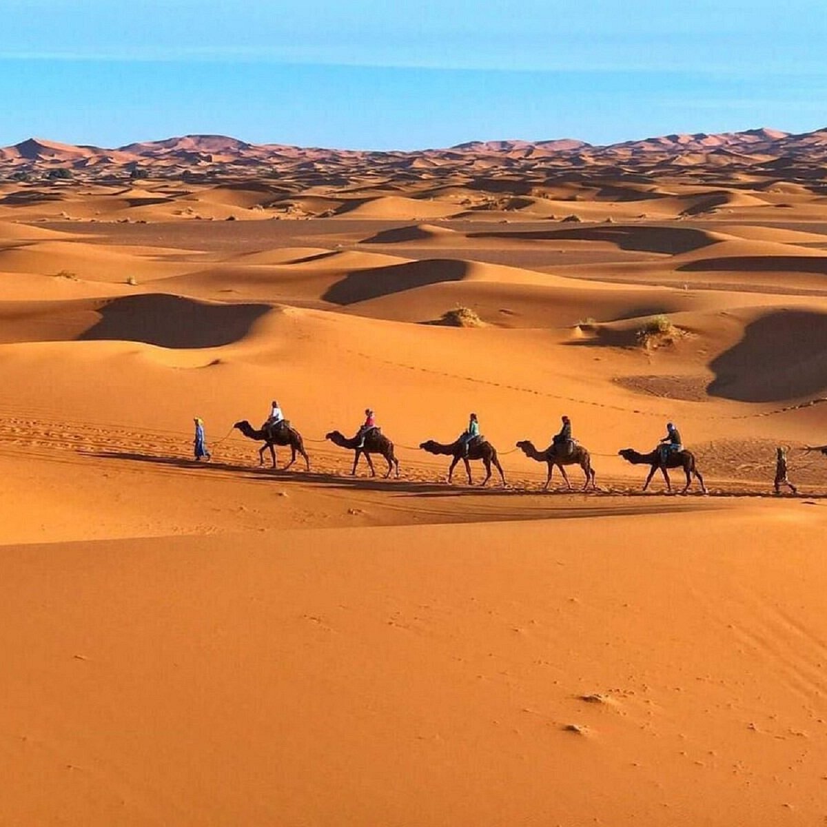 Cocastravel Morocco (Fes) - All You Need to Know BEFORE You Go