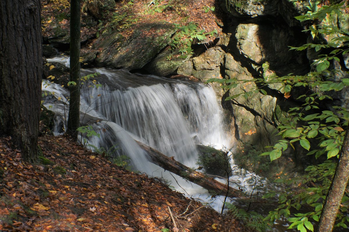 Escape To Naugatuck State Park: Where Nature’s Beauty Meets Outdoor Adventure