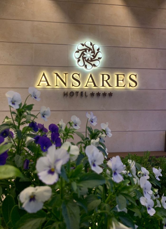 Imagen 9 de Ansares Hotel