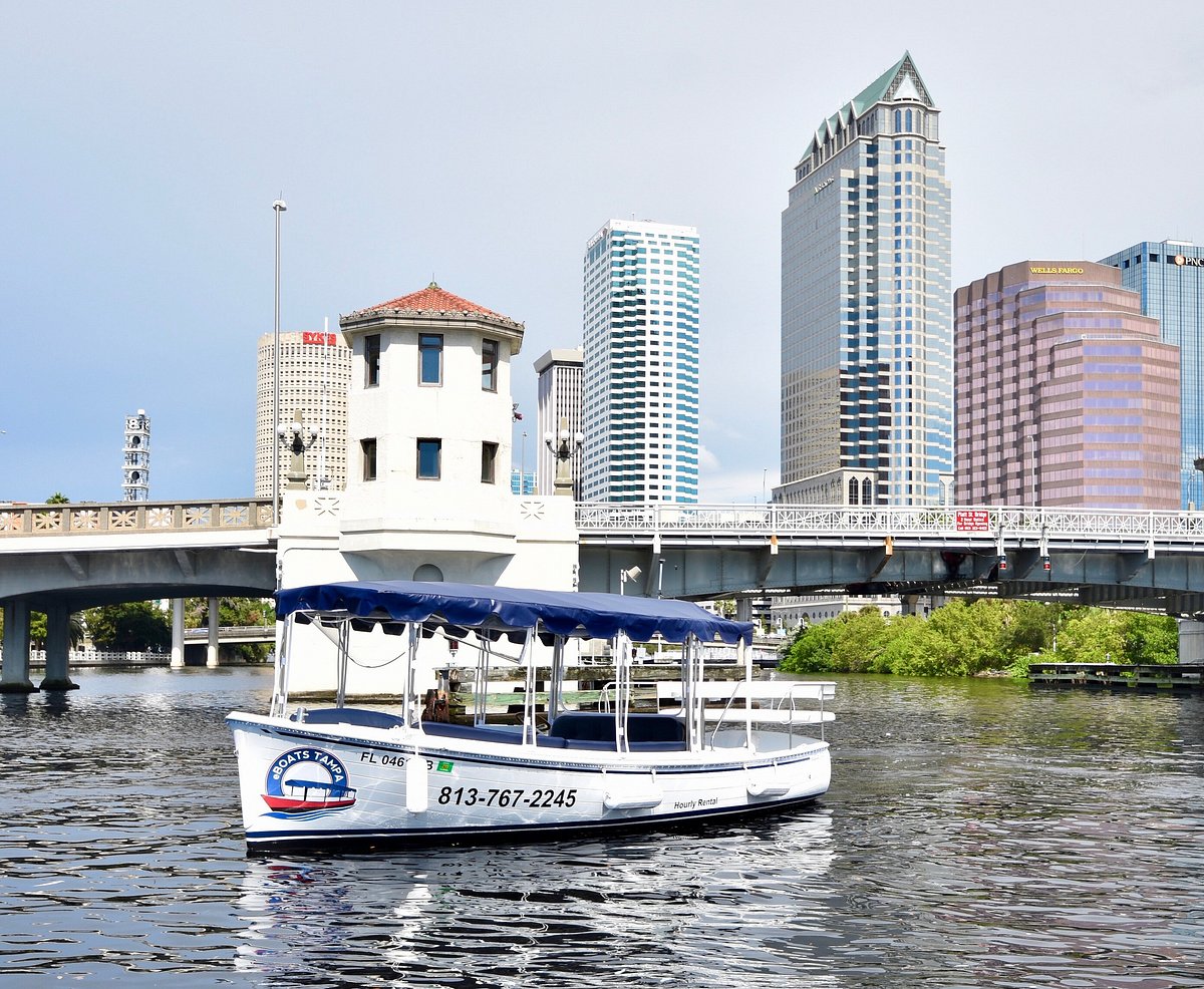 tampa boat trip